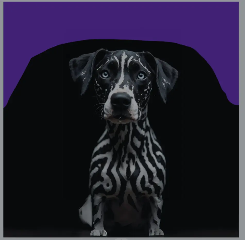 canva-bilder-mit-ki-bearbeiten-beispiel