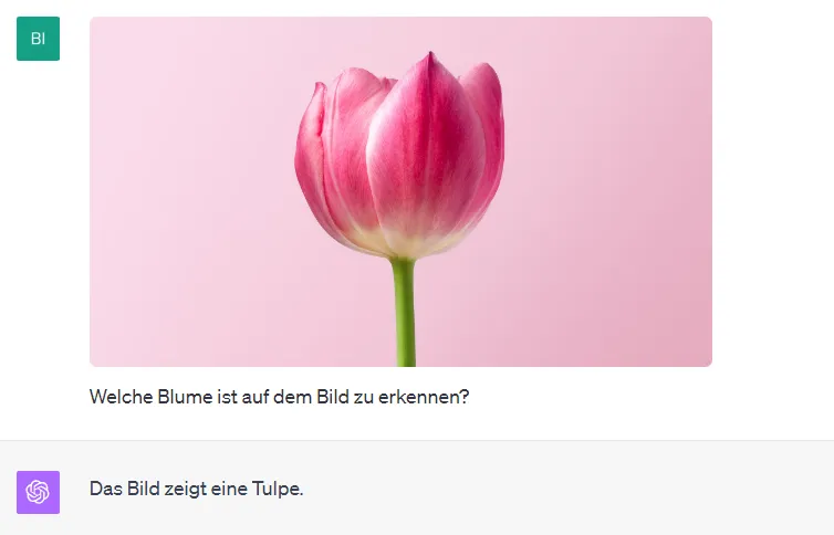 ChatGPT Bilderkennung für Pflanzen